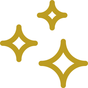 reinigen e1729795711536