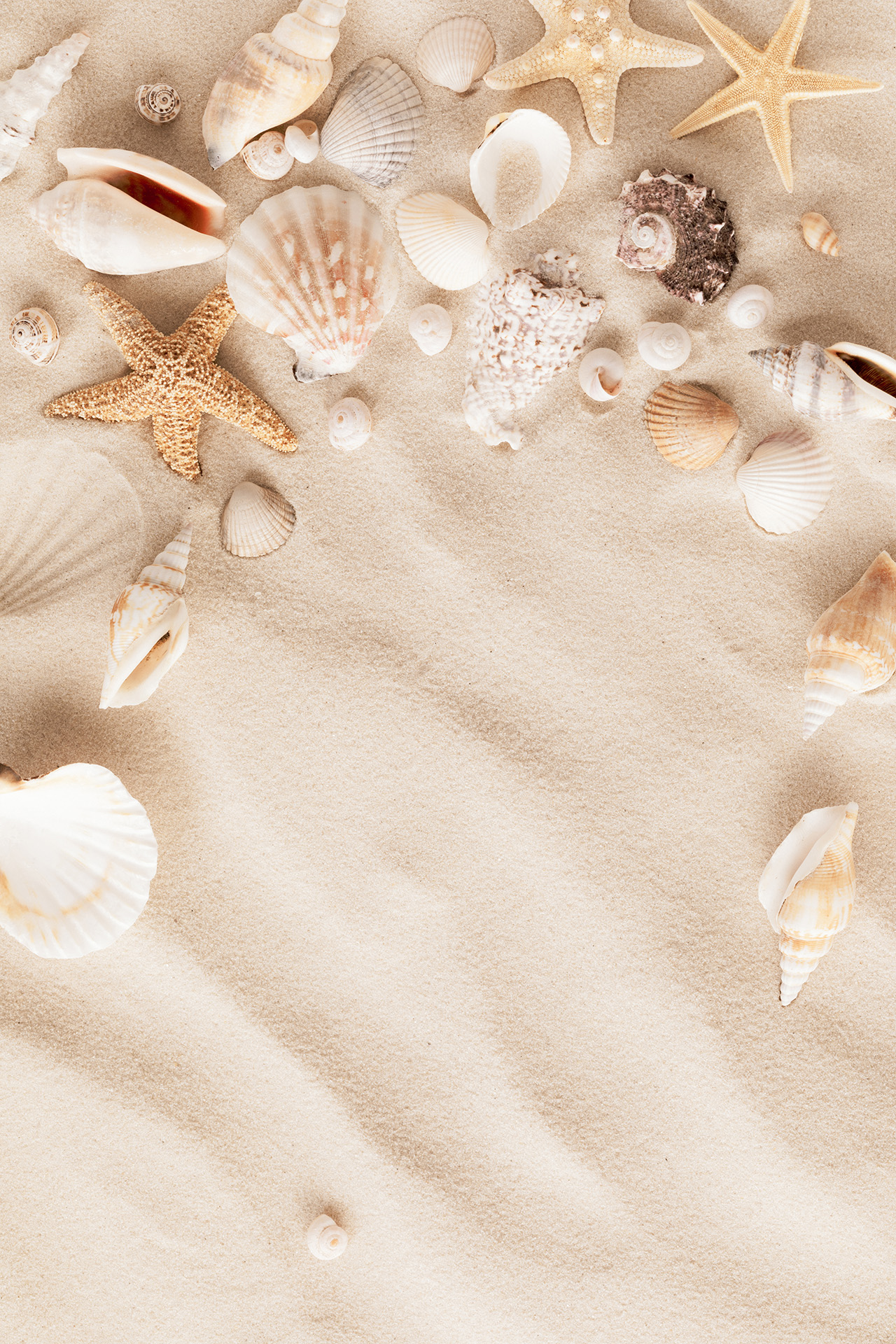 Rein und Feim Kontaktformular Hintergrund